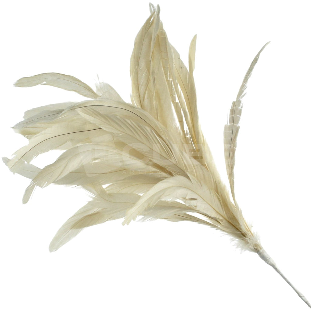 Plume ecriture ancienne d'occasion - Collection Plume ecriture ancienne d'occasion - Collection